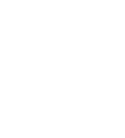 organizational structure image